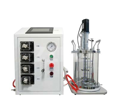 Lab Bioreactor